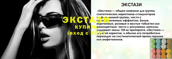 ECSTASY Богородицк