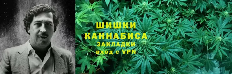 blacksprut зеркало  Буй  Канабис планчик 